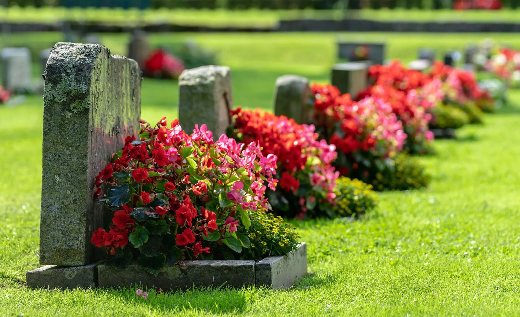 gravesite